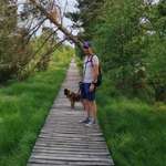 Ersteller:in Carsten Profilbild