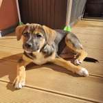 Ersteller:in Denise Profilbild