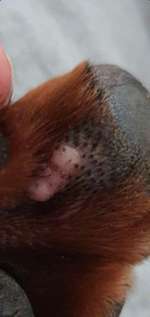 Was kann das sein-Beitrag-Bild