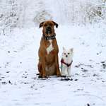 Ersteller:in Luise Profilbild