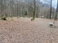 Hundeauslaufgebiet-Hundewiese Hallein-Bild