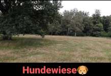 Hundeauslaufgebiet-Schlosspark Herten-Bild