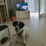 Ersteller:in Irmgard Profilbild