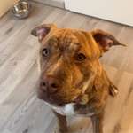 Ersteller:in Esra Profilbild