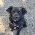 Ersteller:in Anna Profilbild