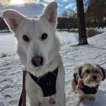 Ersteller:in Laura Profilbild