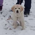 Ersteller:in Sarah Profilbild