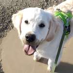 Ersteller:in Sarah Profilbild