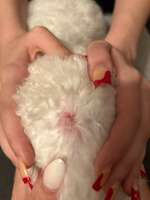 Kopf Verletzung?!-Beitrag-Bild