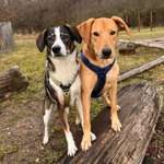 Ersteller:in Noah Profilbild