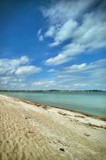 Hundeauslaufgebiet-Hundestrand Eckernförde-Bild