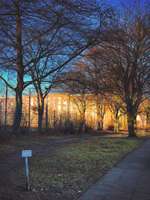 Hundeauslaufgebiet-Hundeauslaufzone Schmachthäger Straße, Barmbek-Nord-Bild