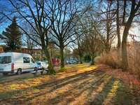 Hundeauslaufgebiet-Hundeauslaufzone Schmachthäger Straße, Barmbek-Nord-Bild