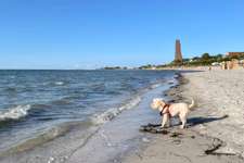 Hundeauslaufgebiet-Laboe-Bild