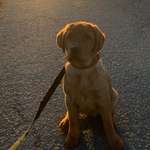 Ersteller:in Lilly Profilbild