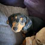 Ersteller:in Ilka Profilbild