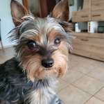 Ersteller:in Waltraut Profilbild