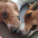 Ersteller:in Alexander Profilbild