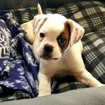 Ersteller:in Silvio Profilbild