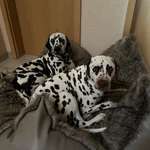 Ersteller:in Kathleen Profilbild