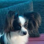 Ersteller:in Sandra Profilbild