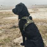 Ersteller:in Jaqueline Profilbild