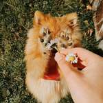 Ersteller:in Hagar Profilbild