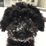 Ersteller:in Leonie Profilbild