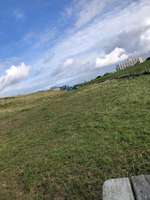 Hundeauslaufgebiet-Deichtrift-Bild