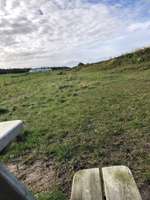 Hundeauslaufgebiet-Deichtrift-Bild