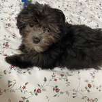 Ersteller:in Stella Profilbild