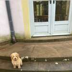 Ersteller:in Marie Profilbild