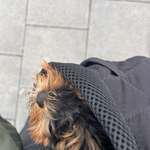 Ersteller:in Mira Profilbild