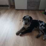 Ersteller:in Mike Profilbild