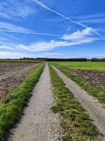 Hundeauslaufgebiet-Waldseewege-Bild