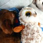 Ersteller:in Anika Profilbild