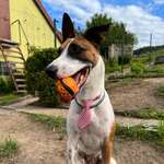 Ersteller:in Julia Profilbild