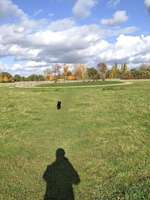 Hundeauslaufgebiet-Wietzepark-Bild