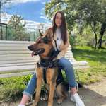 Ersteller:in Lisan Profilbild