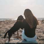 Ersteller:in Celina Profilbild