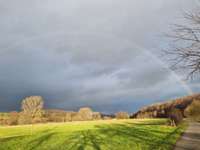 Hundeauslaufgebiet-Längerfeldrunde-Bild