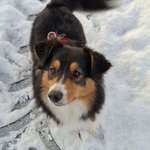 Ersteller:in Sabrina Profilbild