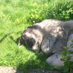 Ersteller:in Saskia Profilbild