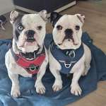 Ersteller:in Carina Profilbild