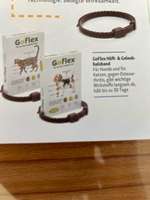 Halsband bei Arthrose?-Beitrag-Bild