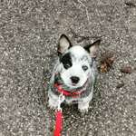 Ersteller:in Karin Profilbild