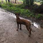 Ersteller:in Eva Profilbild