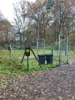 Hundeauslaufgebiet-Hundewiese Steinheim-Bild