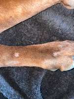 Kahle/wunde Stellen-Beitrag-Bild