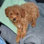 Ersteller:in Stephie Profilbild